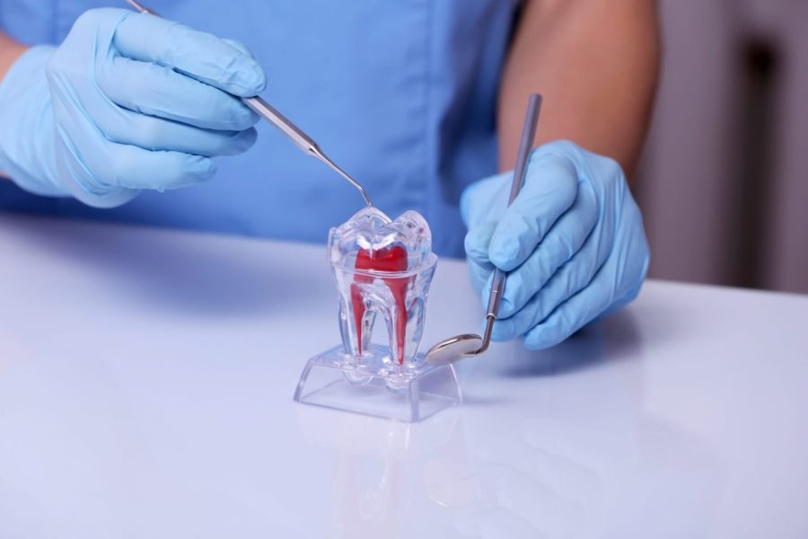 Endodontia